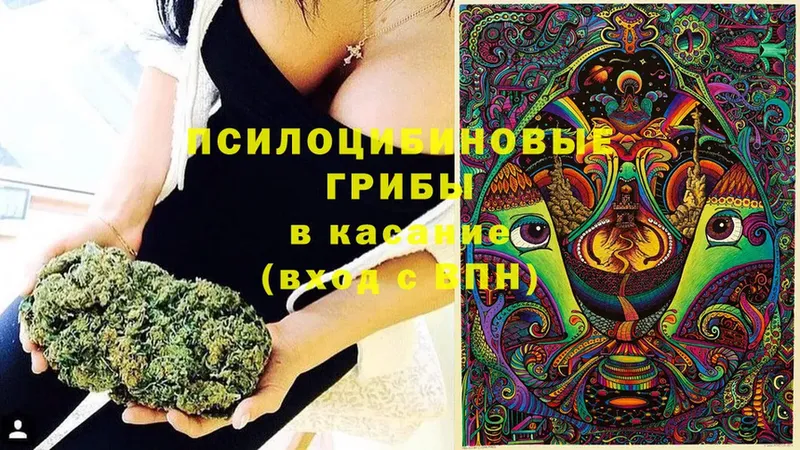 Галлюциногенные грибы Psilocybe  Краснозаводск 